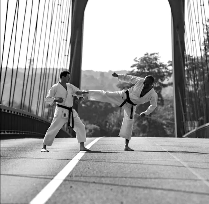 Kampfkunstschule Ken-Zen-Jyuku — kampfsport-studio in Frankfurt am Main — 5