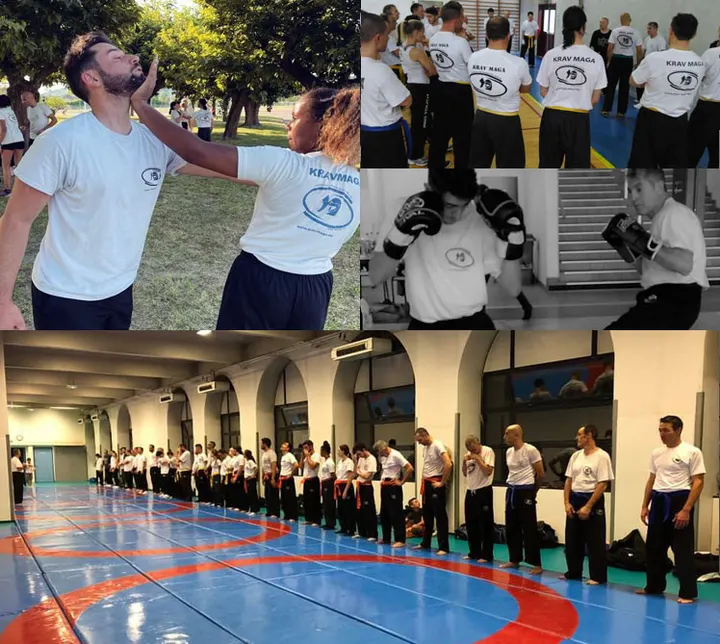 Krav Maga du Pays Viennois — Arts martiaux à Saint-André, Vienne