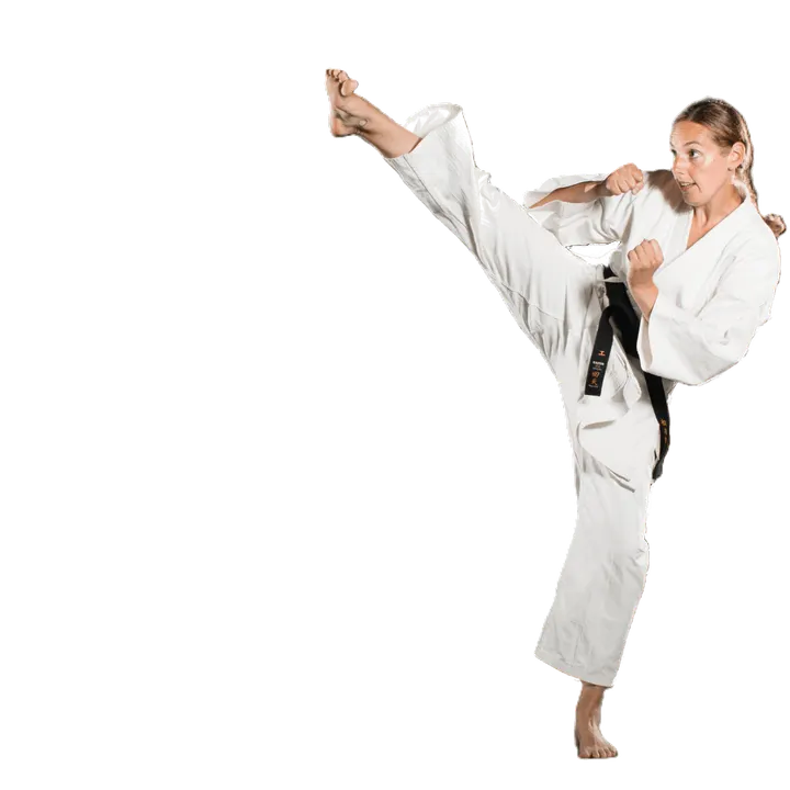 Lu Gia Jen — vechtsport-studio in Den Haag — 5