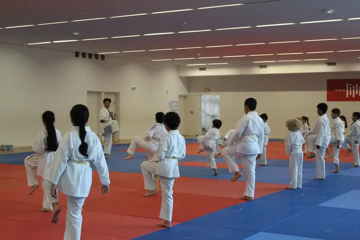 Shotokan Karate Association Lille Metropole — arts martiaux-studio à Wazemmes, Lille — 3