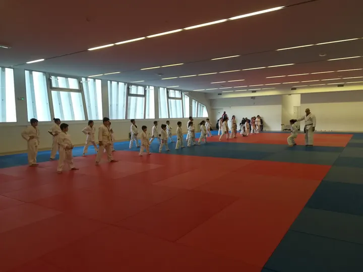 Shotokan Karate Association Lille Metropole — arts martiaux-studio à Lille — 3