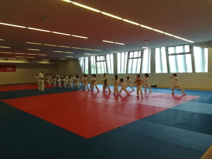 Shotokan Karate Association Lille Metropole — arts martiaux-studio à Lille — 4