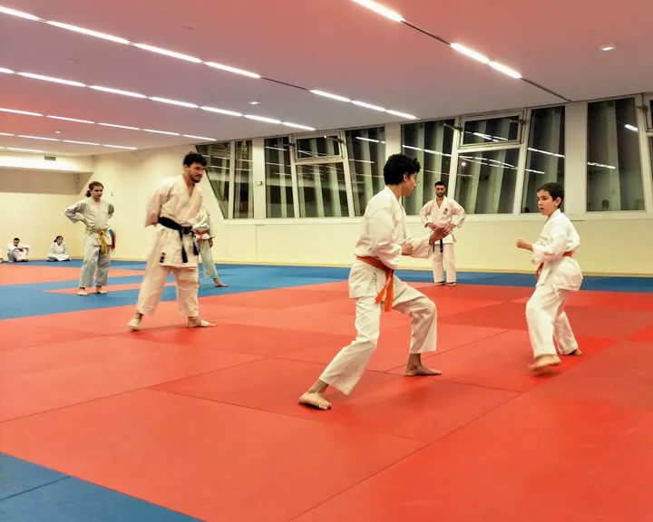 Shotokan Karate Association Lille Metropole — arts martiaux-studio à Lille — 5