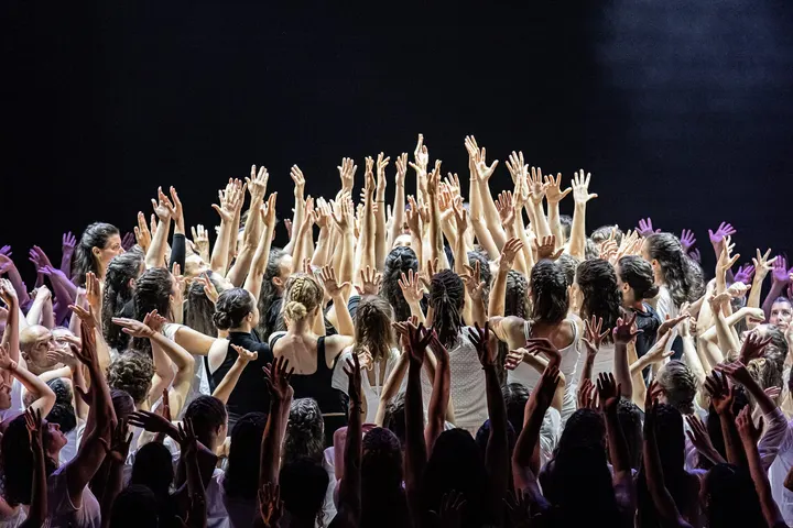 AMPLITUDE Danse — danse-studio à Minimes / Barrière de Paris / Ponts-Jumeaux / La Vache / Raisin / Fondeyre, Toulouse — 2