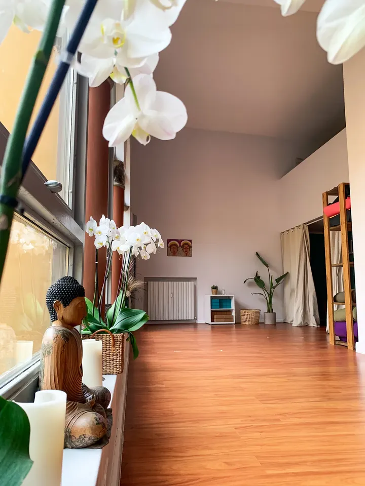 Vinyasa Yoga Bologna — yoga-studio a Galvani, Bologna — 2