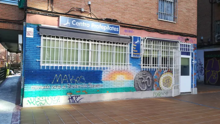 Clases De Pilates Madrid Profepilates — pilates-studio en Latina, Madrid — 3