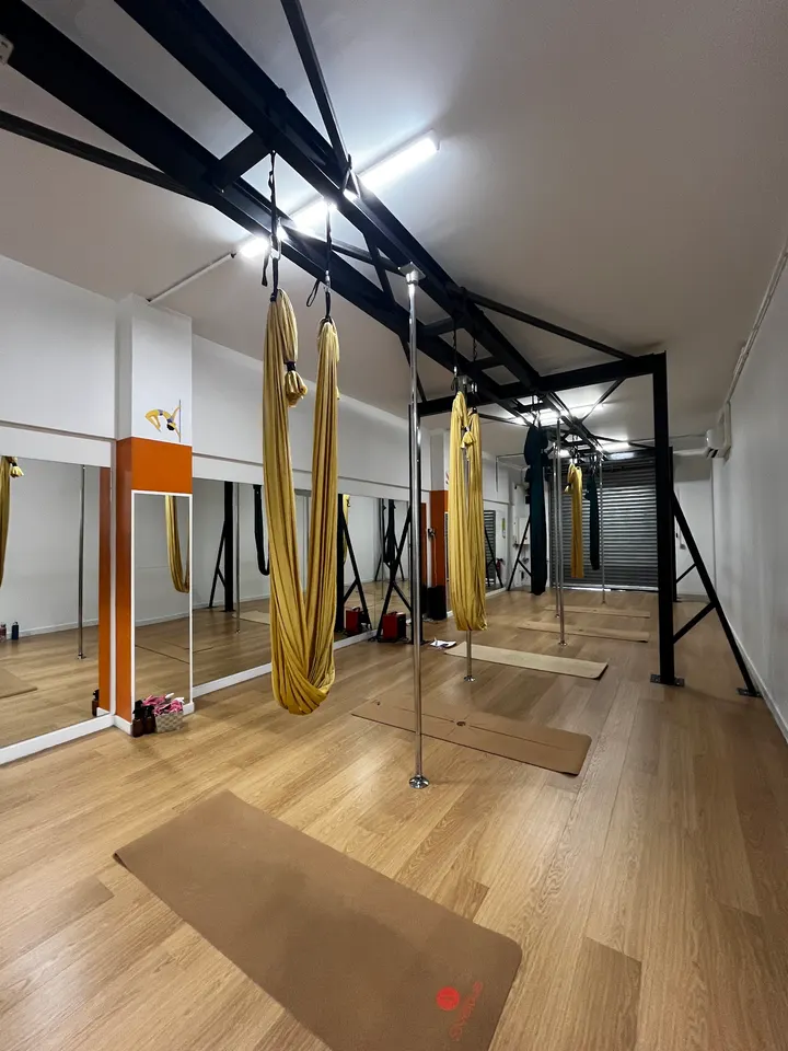OLYAA — arts aériens-studio à Toulouse — 4