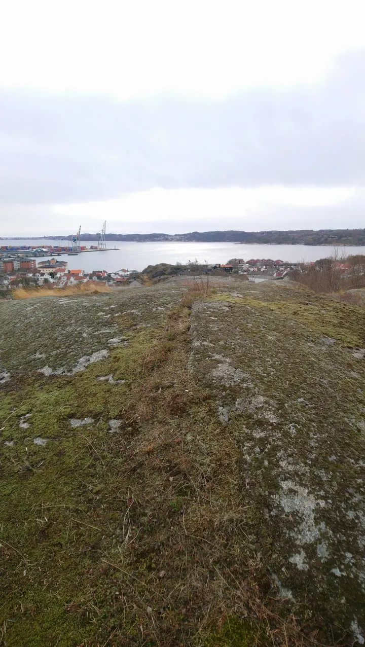 Mesterfjellet Sports Club Tom Erik Oxholm — treningsstudio i Larvik — 3