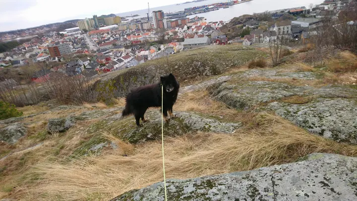 Mesterfjellet Sports Club Tom Erik Oxholm — treningsstudio i Larvik — 4