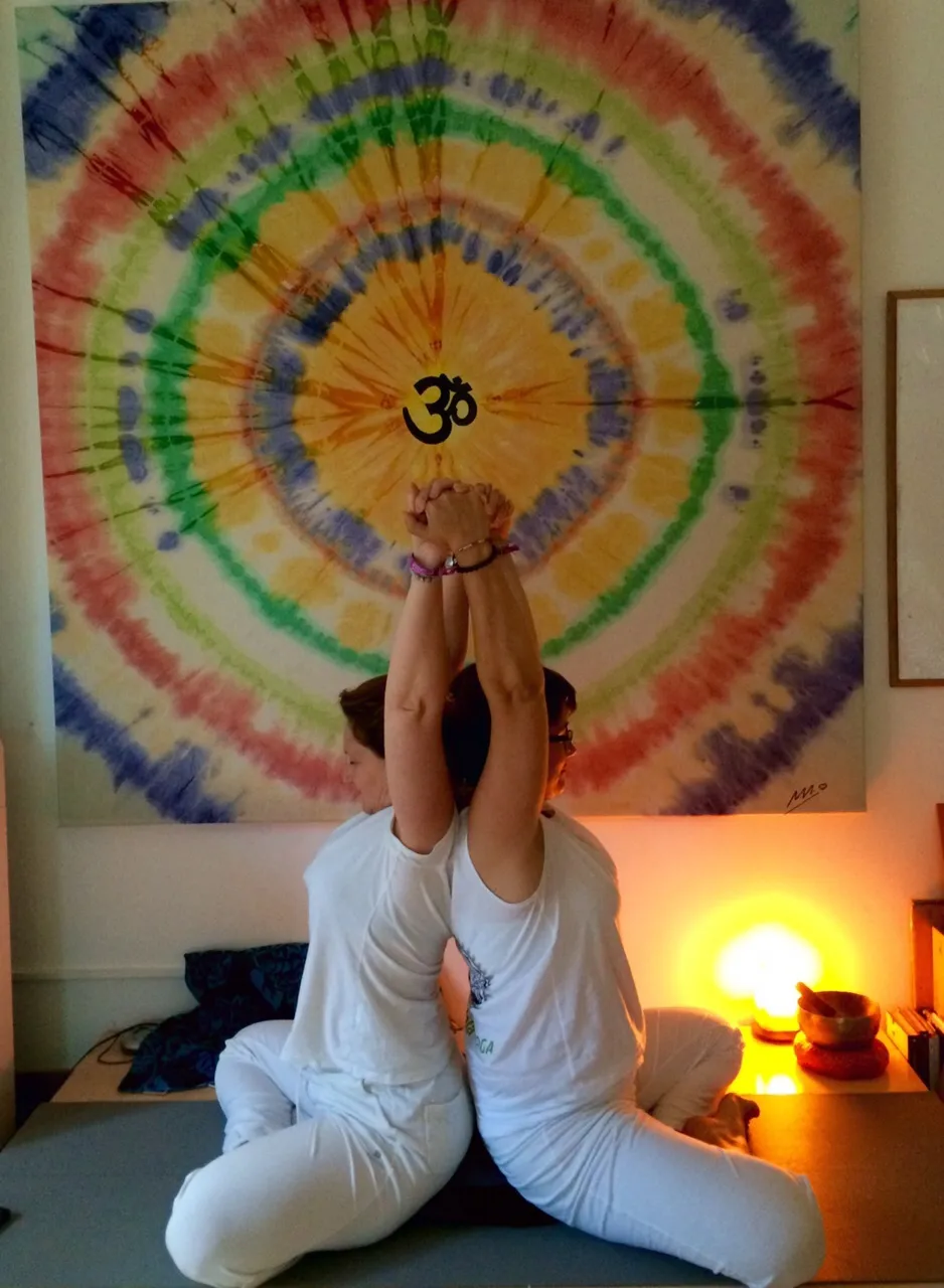 Dharma Ioga — yoga-studio en La Seu d'Urgell — 3