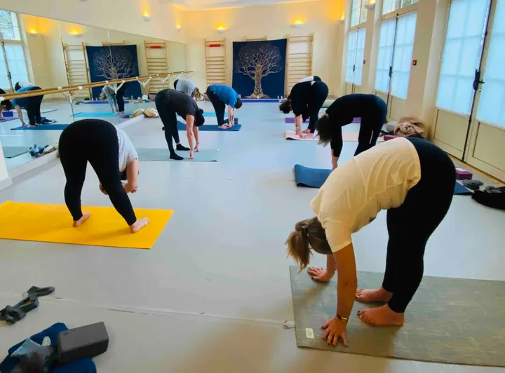 Yoga Spirit 92 — yoga-studio à Marnes-la-Coquette — 3