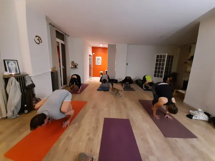 Yoga Light — yoga-studio à Nice — 3