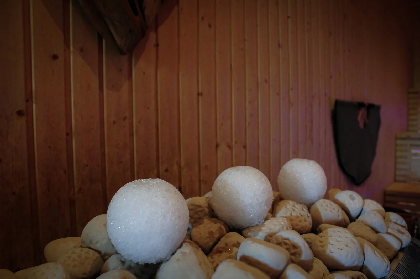 Saunagus Jyllinge — wellness-studio i Jyllinge — 5