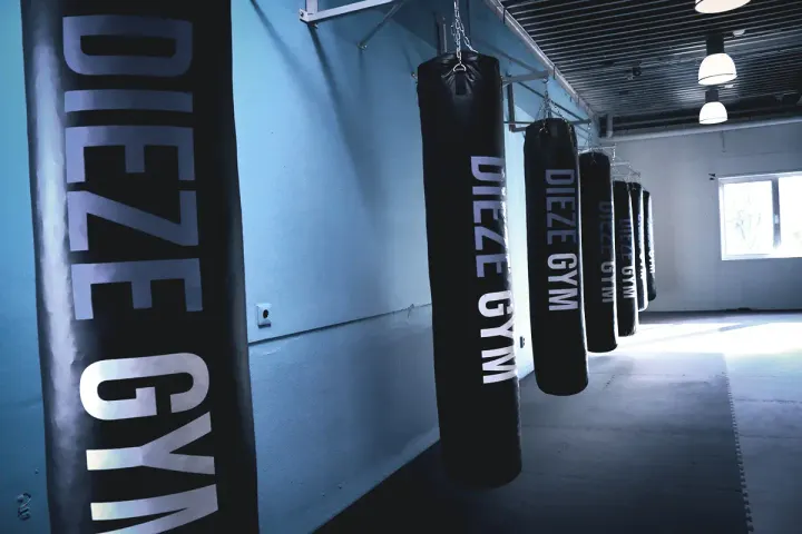 Dieze Gym — sportschool-studio in Orthenpoort, 's-Hertogenbosch — 2