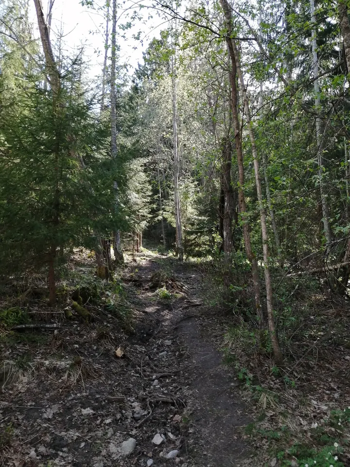 Vuohimäki trial- ja kiipeilypuisto — kiipeily-studio – Kantvik, Kirkkonummi — 3