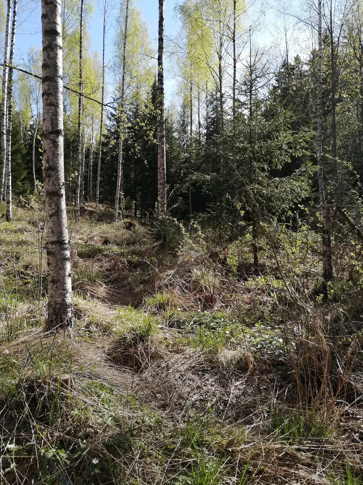 Vuohimäki trial- ja kiipeilypuisto — kiipeily-studio – Kirkkonummi — 3