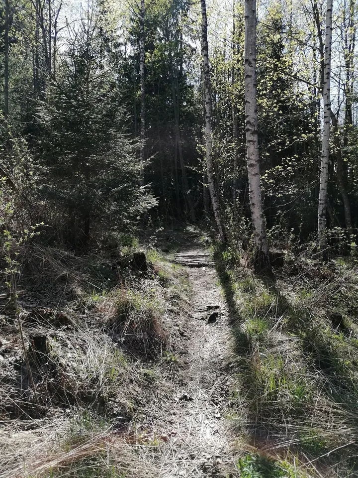Vuohimäki trial- ja kiipeilypuisto — kiipeily-studio – Kirkkonummi — 4