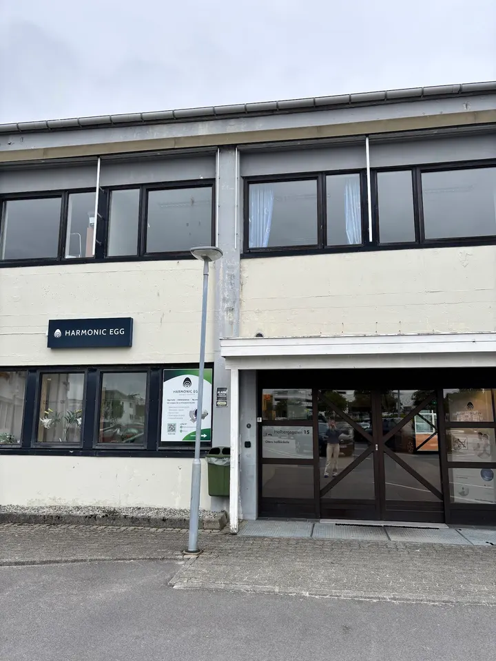 Yoga With Cristina Honciuc — yoga-studio i Sandnes — 3