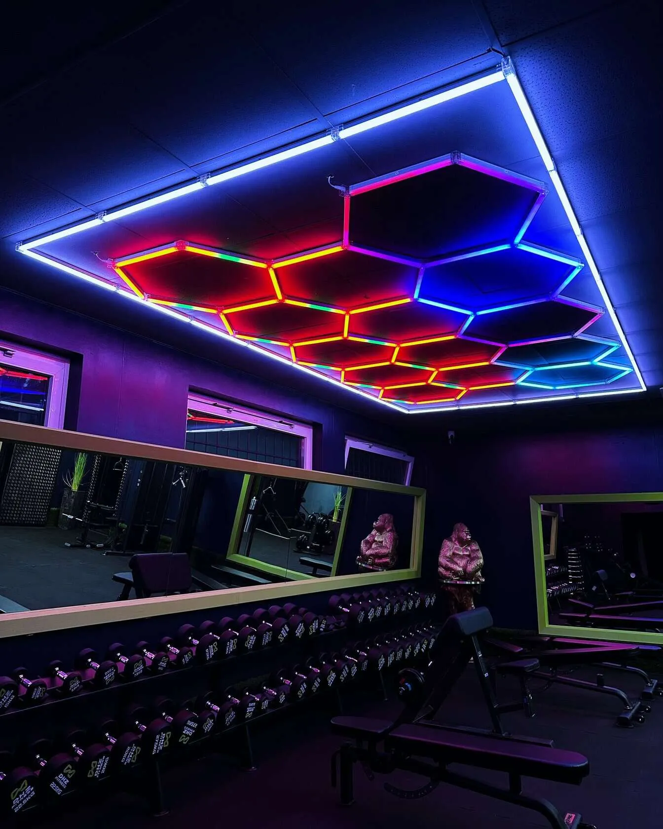 Fitnessclub 247 Berlin Grünau — träningsstudio i Berlin — 3