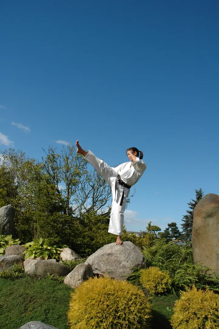 Ashihara Karate Århus — martial arts-studio i Saralyst, Aarhus