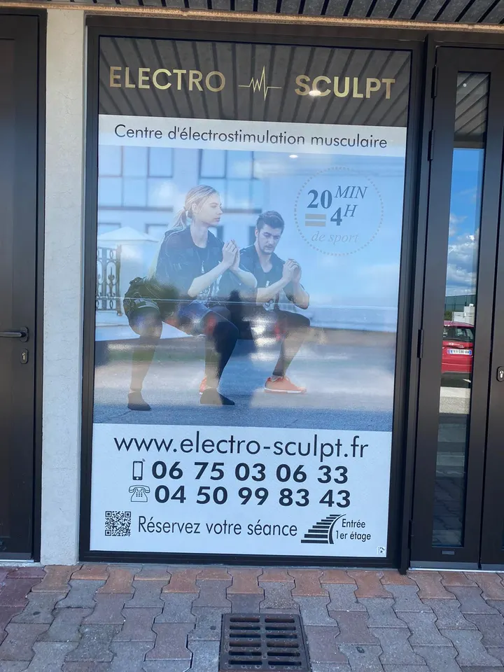 Electro-Sculpt Chemin du Bois Candide — récupération-studio à Ferney-Voltaire — 4