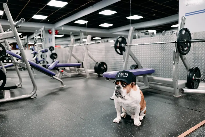 Evolve Fitness — Fitness Studio in Coundon, Coventry