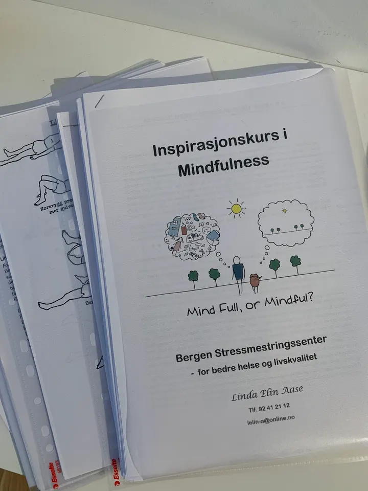 Bergen Stressmestringssenter — meditasjon-studio i Kringsjå, Bergen — 3