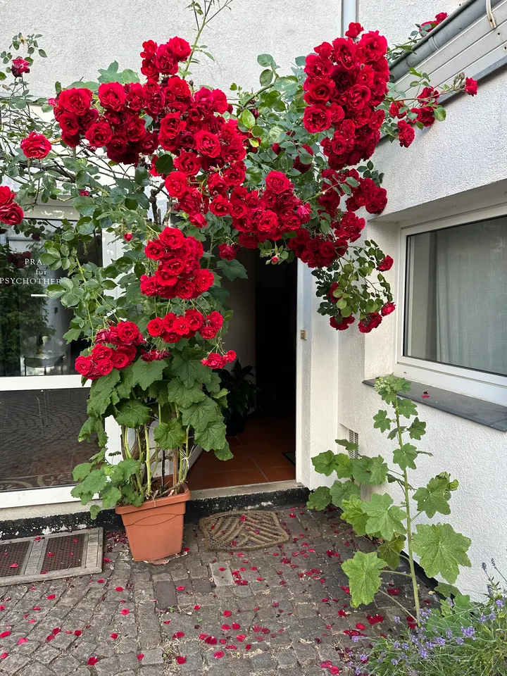Innenraum Hamburg — yoga-studio in Ottensen, Hamburg — 2