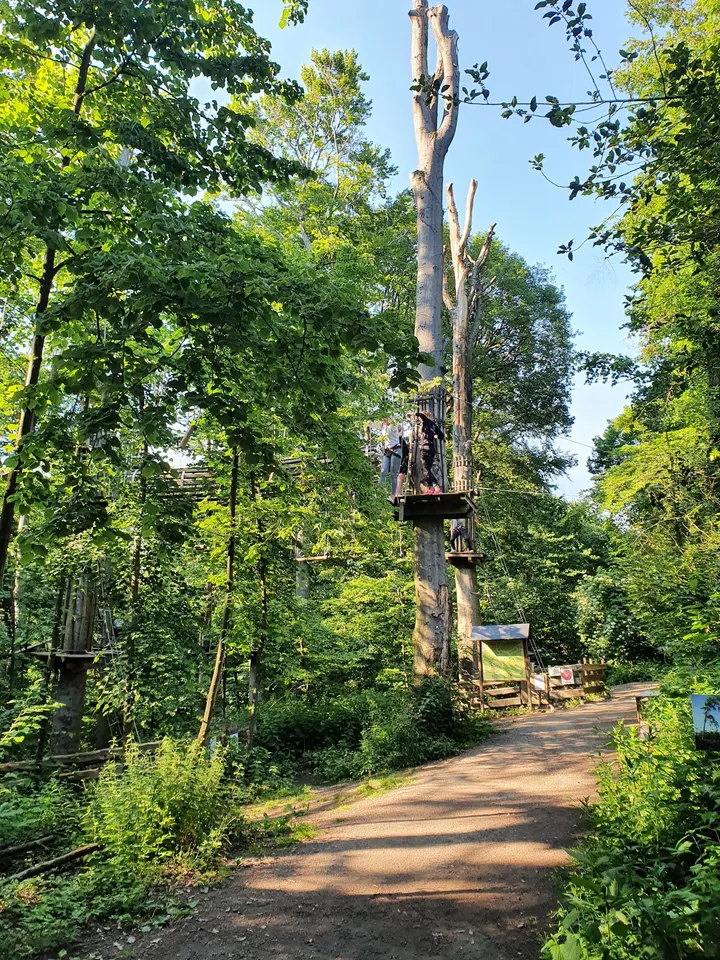 Waldkletterpark Velbert-Langenberg — klettern-studio in Langenberg, Velbert — 2