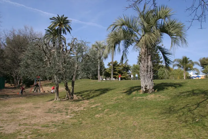 Zm coaching & personal Trainer — coaching personnel-studio à Carabacel, Nice — 3