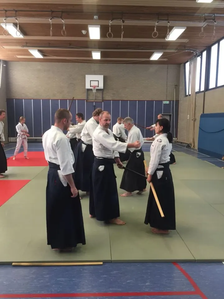 Takemusu Aikido Zutphen — Vechtsport in De Hoven, Zutphen