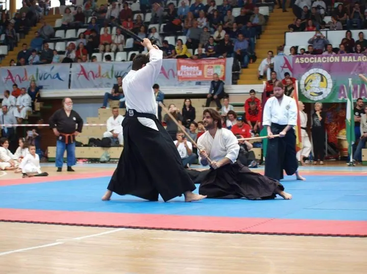 Zendo Ryu Ju Jutsu — bjj-studio en Málaga — 5