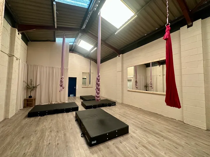 Rise Pole And Aerial Fitness Studio — aerial-studio in Fishley, Walsall — 2