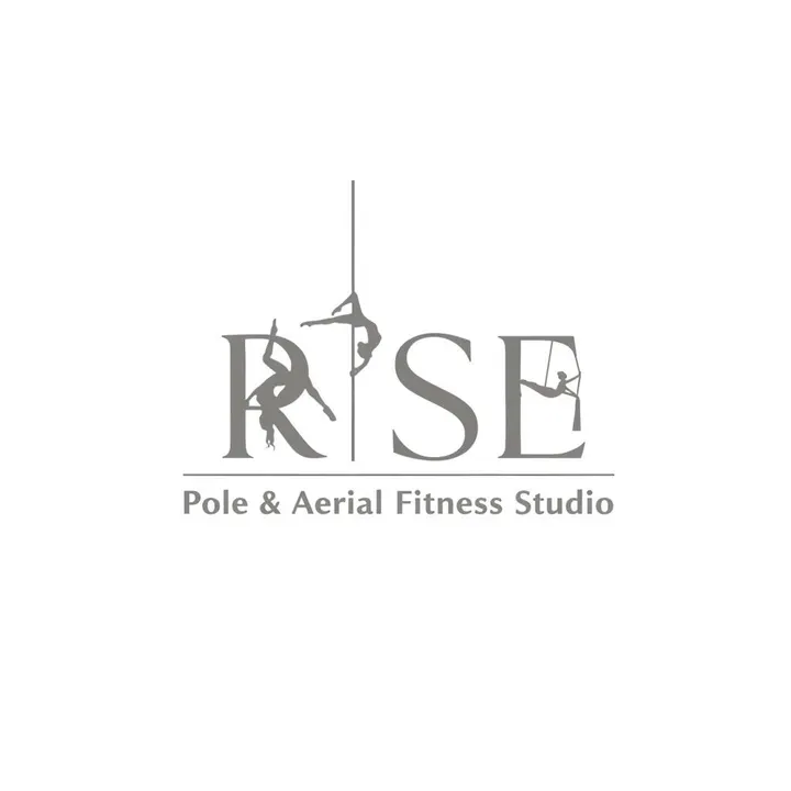 Rise Pole And Aerial Fitness Studio — aerial-studio in Walsall — 3