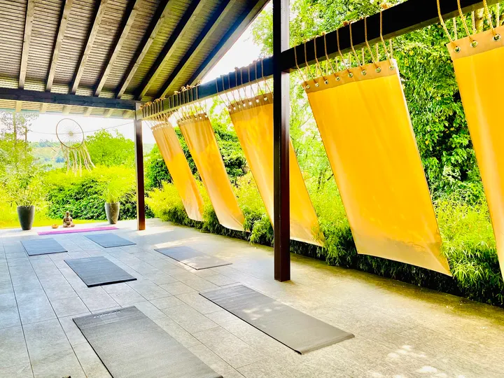 Devi Yoga Siegen — Yoga in Seelbach, Siegen