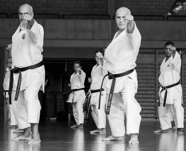 Karate Wado Ryu Roma — Arti marziali a Municipio Roma XI, Roma