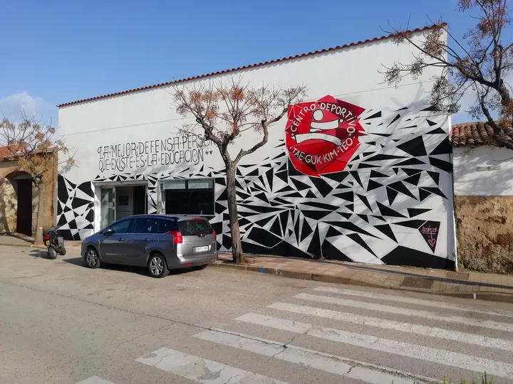 Centro deportivo Tae Guk Kim Teo — artes marciales-studio en Malpartida de Cáceres — 2