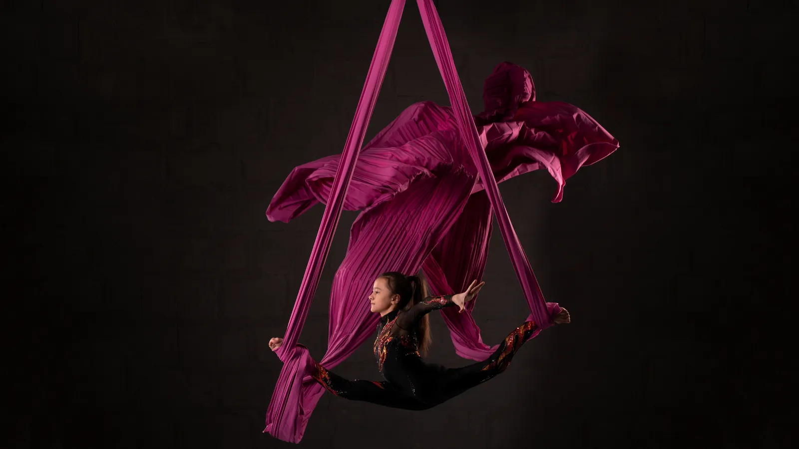 Del Reves - Pole Dance i Dansa Aèria — träningsstudio-studio i Centre, Terrassa — bild 2