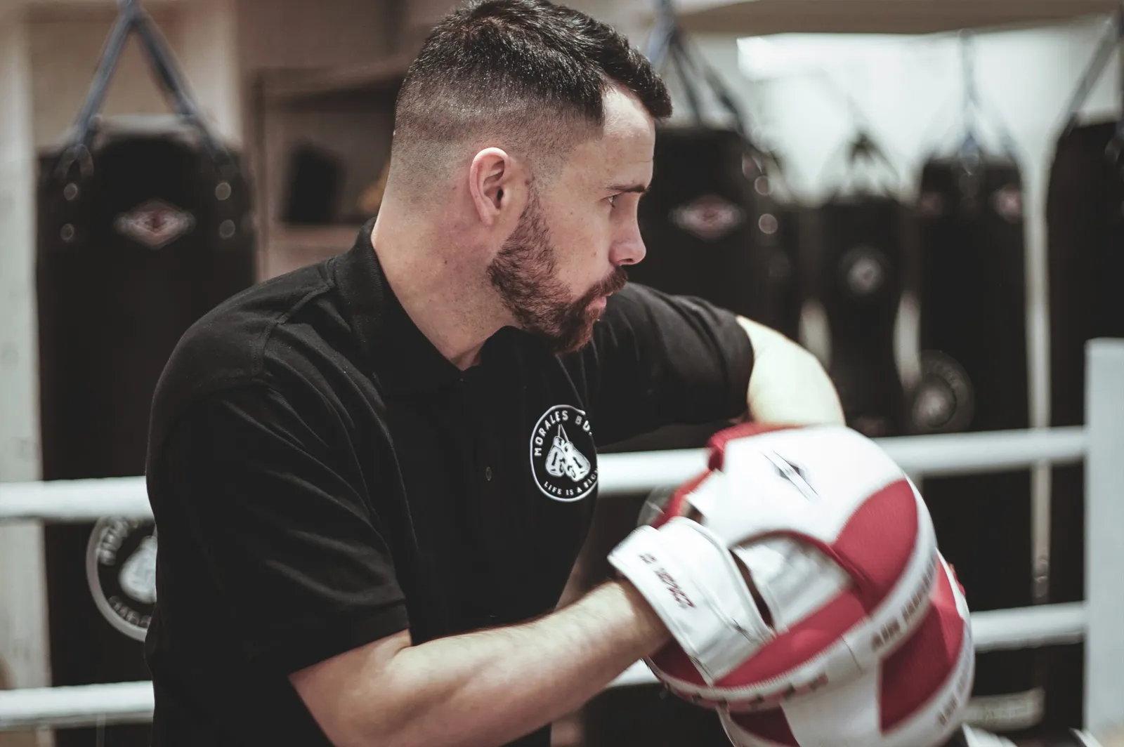 Morales Box Bilbao — boxning-studio i Bilbao — bild 3