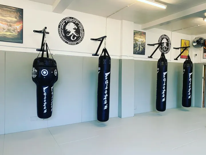 MCMA (Modern Combat Martial Arts) - Watford — Martial Arts in Holywell Estate, Watford