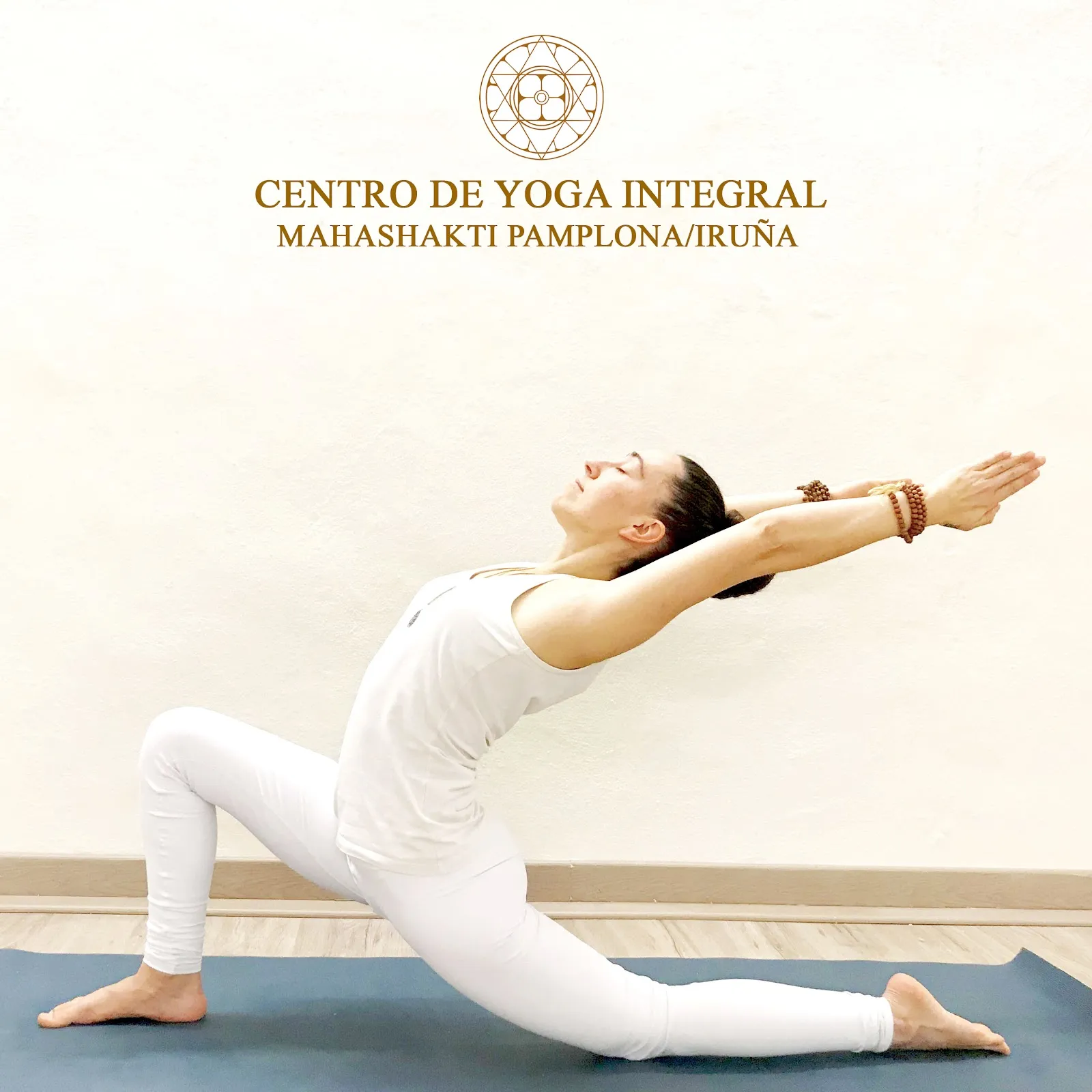 Centro de Yoga Integral Mahashakti Pamplona/Iruña — yoga-studio en Pamplona — 3