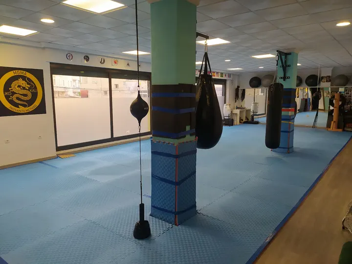 Murcia Group Academy — artes marciales-studio en Bolvax, Cieza — 2