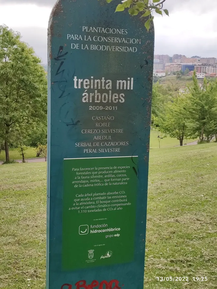 Parque de Calistenia — calisthenics-studio en Oviedo — 5