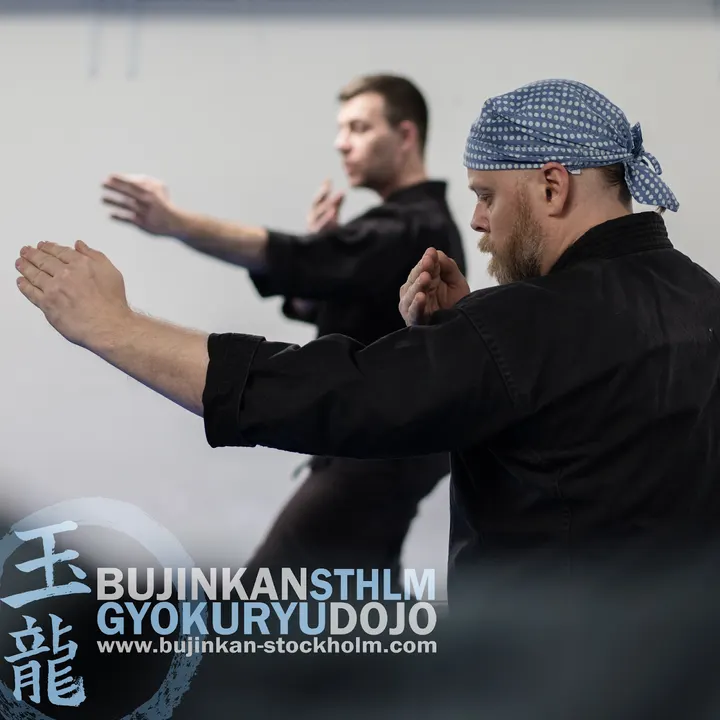 Bujinkan Stockholm Gyokuryu Dojo — kampsport-studio i Södermalm, Stockholm — 3