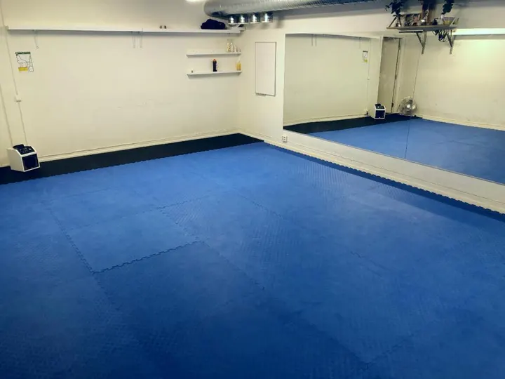 Bujinkan Stockholm Gyokuryu Dojo — kampsport-studio i Stockholm — 3