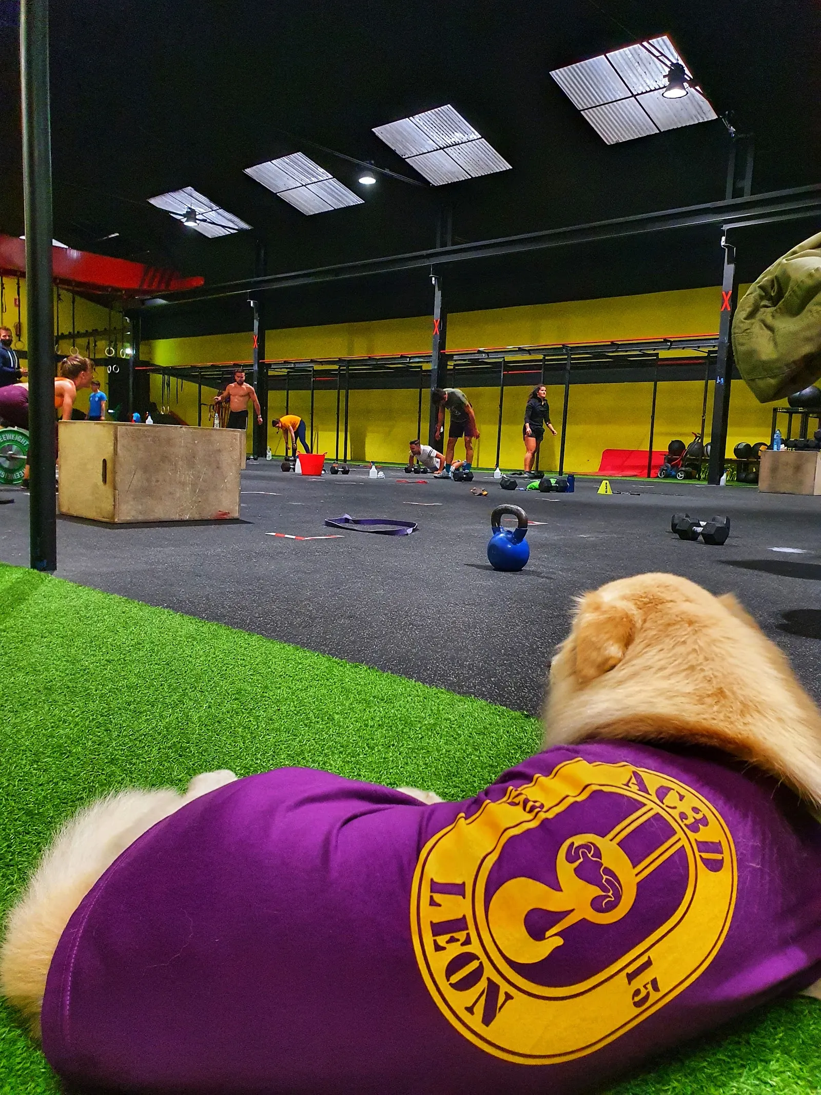 AC3D Functional Training — crossfit-studio en Villaobispo de las Regueras — 3