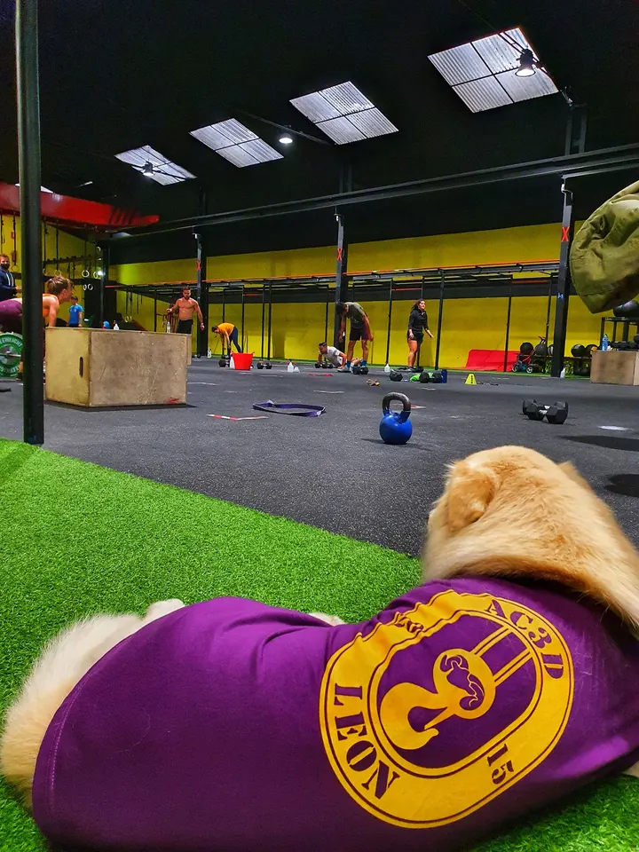 AC3D Functional Training — crossfit-studio en Villaobispo de las Regueras — 3