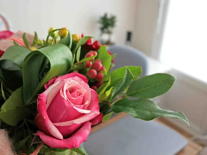 Cercle BILKIS - Rose Pilates - Avirose - Pilates (Centre Le Sart - Pavé de Lille) — pilates-studio à Lille — 4