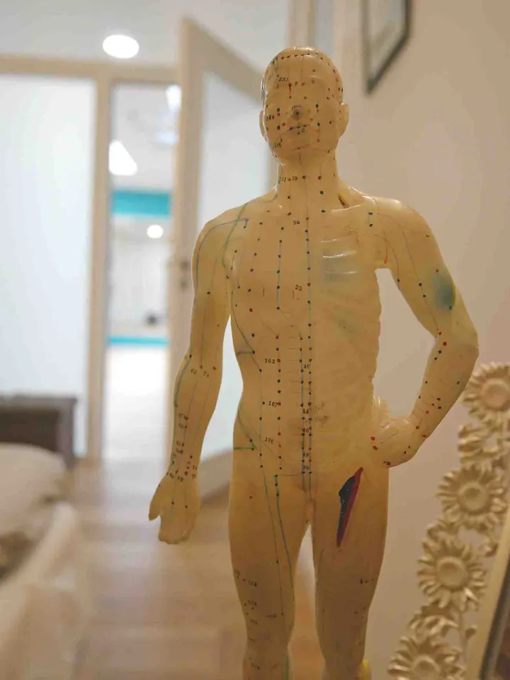 Cercle BILKIS - Rose Pilates - Avirose - Pilates (Centre Le Sart - Pavé de Lille) — pilates-studio à Lille — 5