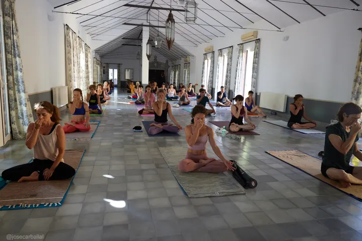 Mysore House Madrid 🧘🏻 Ashtanga Yoga — yoga-studio en Madrid — 5